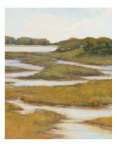 Silver Stream II