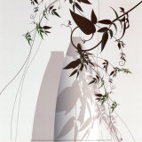 Jasmine Jungle