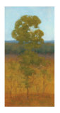 Solitary Tree I