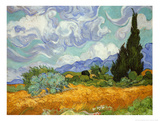 Wheatfield with Cypresses  c1889