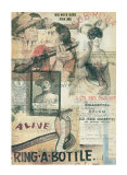 Sofie's Choice