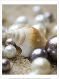 Sea Jewels I