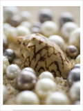 Sea Jewels IV