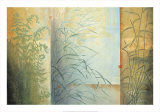 Ferns and Grasses