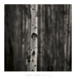 Equilibrium