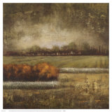 Field at Dawn I