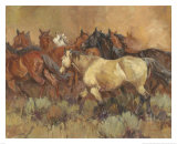 Bart's Buckskin
