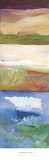 Nantucket Vistas II