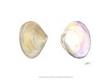 Tidal Treasure I