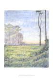 Tranquil Horizon I
