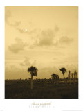 Viera Dusk I