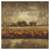 Field at Dawn II