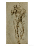 Nude Male Figure Seen Frontally  circa 1502-1506