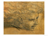 Head of a Young Man  Three Quarters Towards the Right