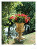 Flower Vase in the Courtyard of Charlottenhof Palace