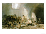 Lunatic Asylum