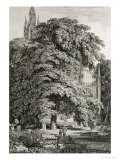 Cathedral Hidden Among Trees