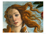 The Birth of Venus (Head of Venus)  1486