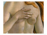 Birth of Venus  Detail of Breasts and Hands