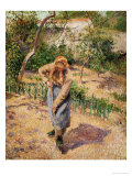 Farmwoman Digging