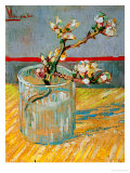 Blossoming Almond Branch in a Glass  c1888