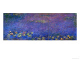 Waterlilies