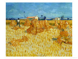 Harvest in Provence of Wheat Field with Sheaves  c1888