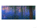 Waterlilies and Willows