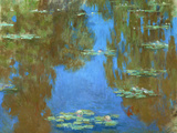 Nympheas (Waterlilies)  1903
