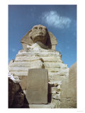 The Sphinx of Gizeh  in Its Paws is a Granite Stele Placed There by Pharaoh Thutmosis IV