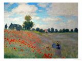 The Poppy Field  1873