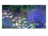 Waterlilies (Les Nympheas)  Study of the Morning Water
