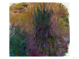Waterlilies  1914-1917