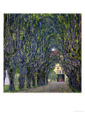 Tree-Lined Road Leading to the Manor House at Kammer  Upper Austria  1912