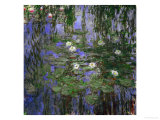 Blue Waterlilies  1916-1919