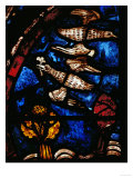 The Dove Returns with an Olive Twig in Its Beak as Other Birds Begin to Leave the Ark