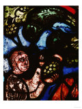 The Discovery of Wine  One of Noah's Sons Cutting a Grape  from the Noah Window  13th Century