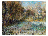 Snowy Landscape