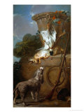 The Spaniel  1730