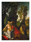 Saint Jerome in Penance  1502