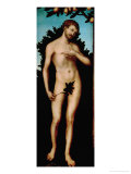 Adam  1533
