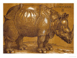 The Rhinoceros  1515  Pen and Ink  Wash