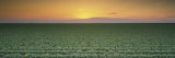 Lettuce Field at Sunset  Fresno  San Joaquin Valley  California  USA