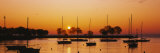 Silhouette of Sailboats in a Lake  Lake Michigan  Chicago  Illinois  USA