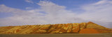 Stack of Maize Crops on a Field  Alma  Harlan County  Nebraska  USA