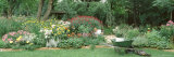 Mature Man Working in a Garden  Hinsdale  Illinois  USA