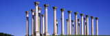 Arboretum Washington DC