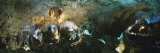 Ceiling of a Cave  Hall of Giants  Carlsbad Caverns National Park  Carlsbad  New Mexico  USA