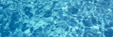 Water in a Swimming Pool  Sacramento  California  USA