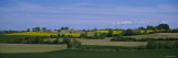 Crop in the Field  Holstein  Schleswig-Holstein  Germany